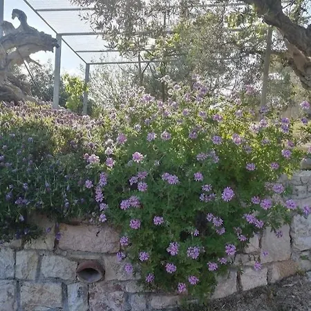 Maria Elena * Koróni