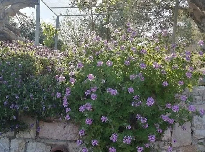 Maria Elena * Koróni